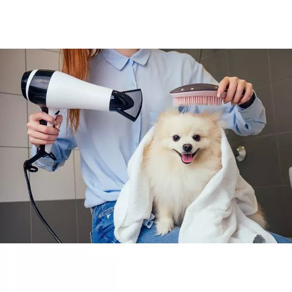 Pet Care Package