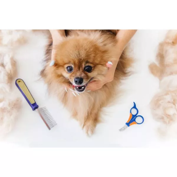 Pet Care Package