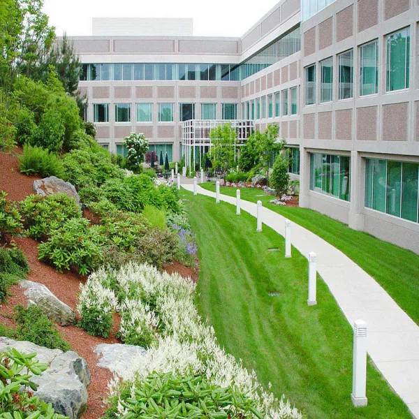 Commercial Landscape