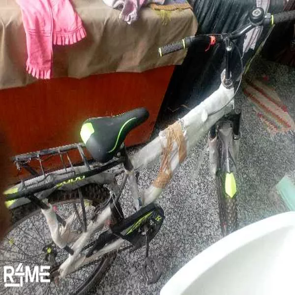 cycle on rent
