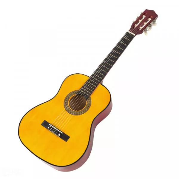 Guitar for rent