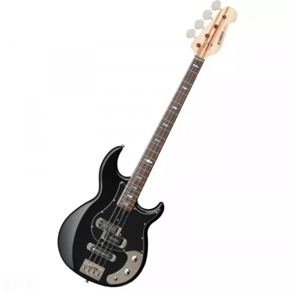 Electric Guitar on rent