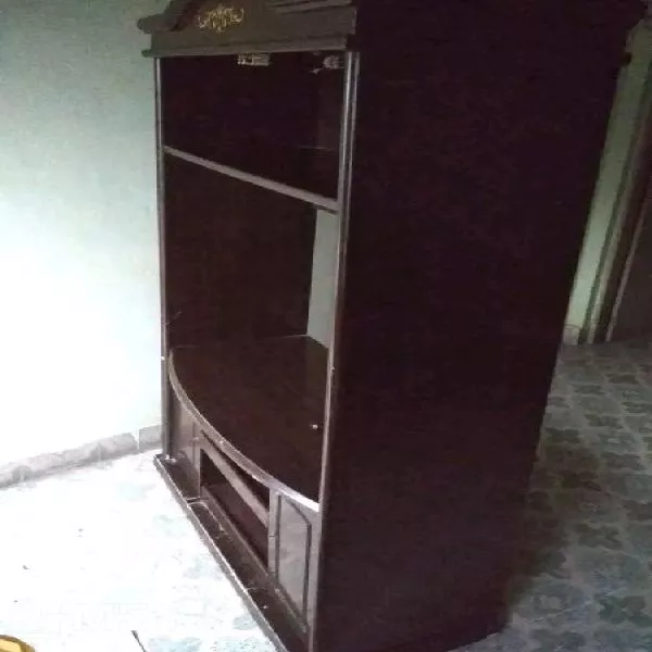 Television (TV) Unit