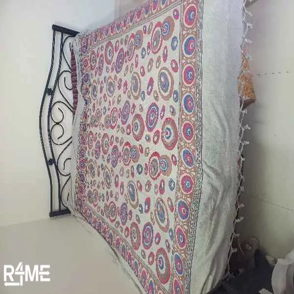 Queen Size Iron Ply Bed on rent