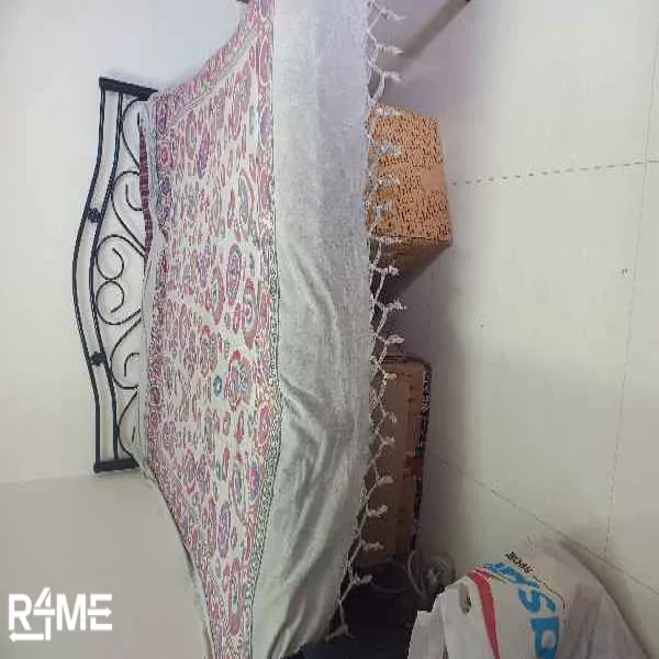 Queen Size Iron Ply Bed