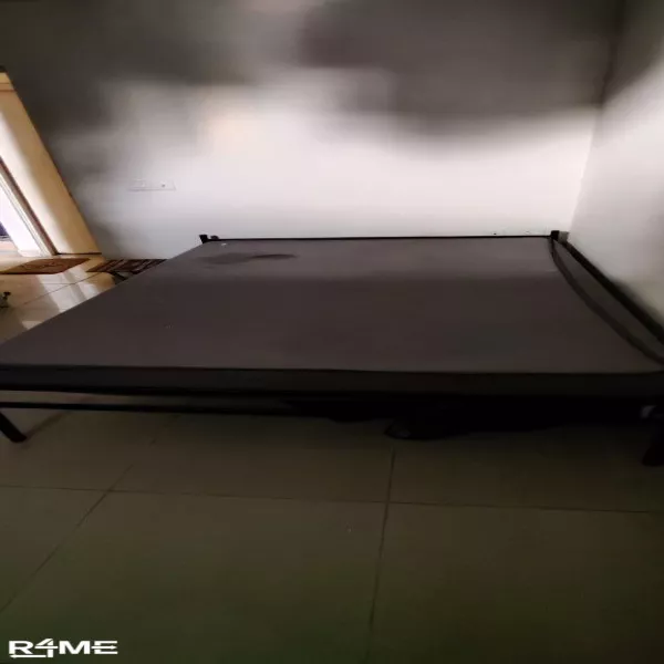 Wakefit spring mattress with orthopedic spine support & Iron Frameless bed