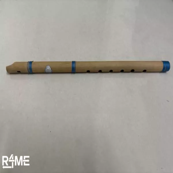 Flute with vertical blow