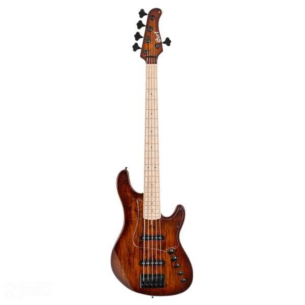 Bass Guitar on rent