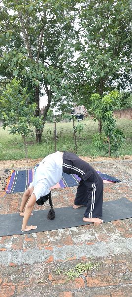 Others Practitioner