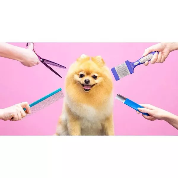 Pet Care Package on rent