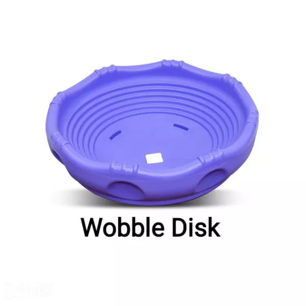Wobble Disk on rent