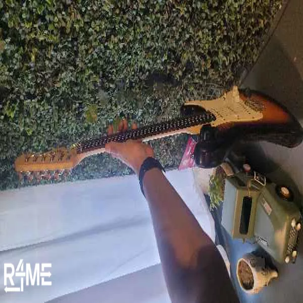 ELECTRIC GUITAR on rent