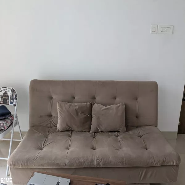 Sofa cum bed on rent