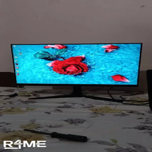 Projector /Monitor on rent