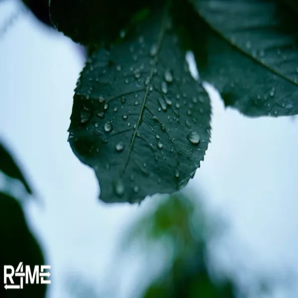 SONY ZV-E10L Mirrorless Camera on rent