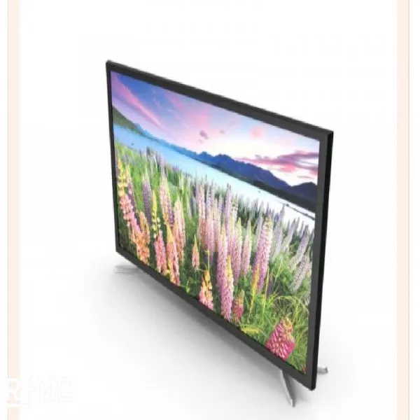 Tv on rent