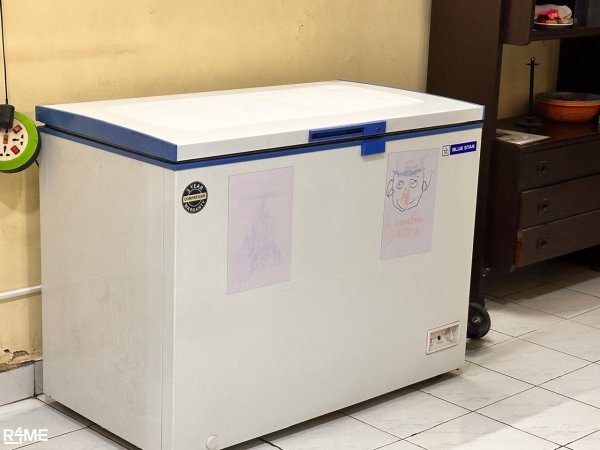 Blue star deep freezer (215 ltr) single door on rent