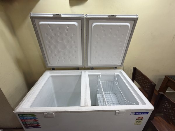 Blue Star 300L Deep Freezer on rent